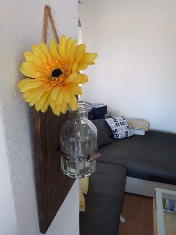 Apartman Zvoncica Врси Экстерьер фото
