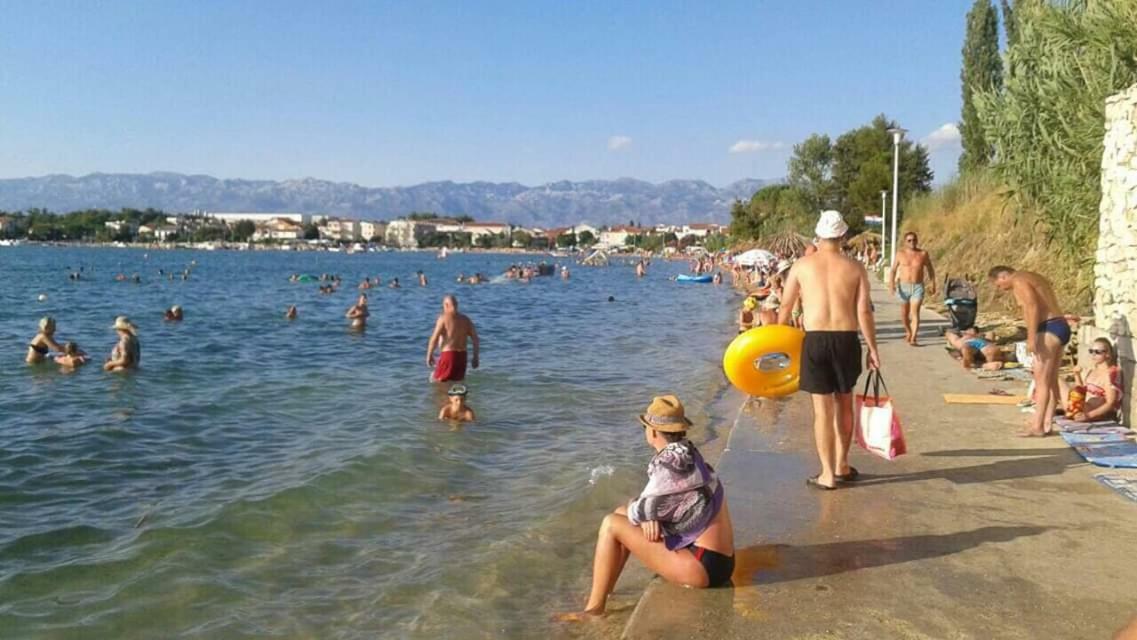 Apartman Zvoncica Врси Экстерьер фото
